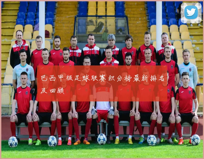 巴西甲级足球联赛积分榜最新排名及回顾