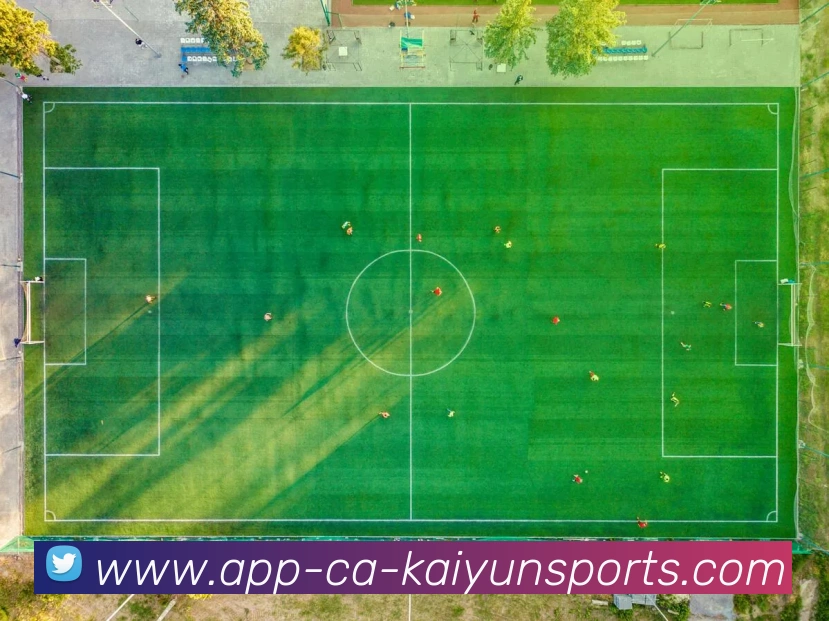 开云appAPP 封面图